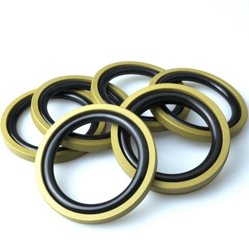 Double-acting Piston Seals factory